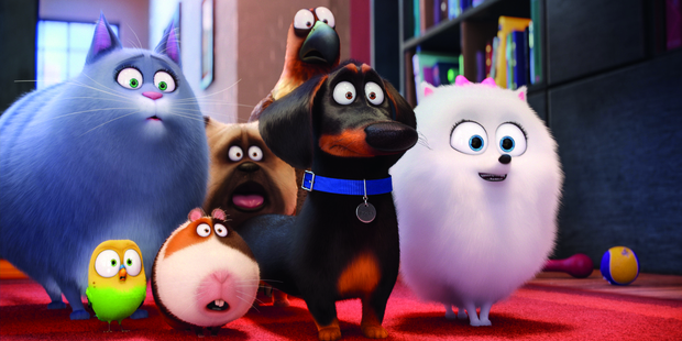 We're quickly introduced to a group of neighborhood mates in the film The Secret Life of Pets.