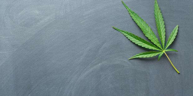 A policeman says cannabis harm was not great especially when compared to alcohol.
