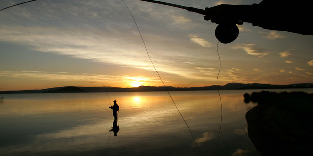 A Fish and Game promotion means anglers could win $10,000 if they catch the tagged trout. Photo/File