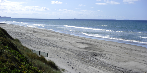 A seal was mauled to death by a dog on Pukehina beach. Photo/File