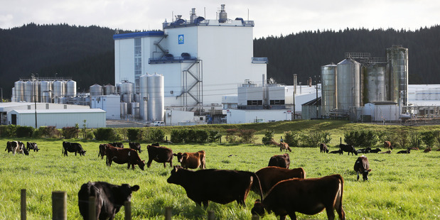 Fonterra looks set to report strong annual earnings at its result, due this month.