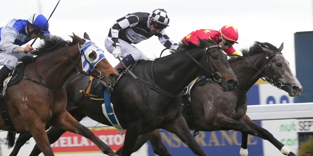 Kawi, centre, gets up to win the group one Windsor Park Plate at Hastings. Photo / Trish Dunell