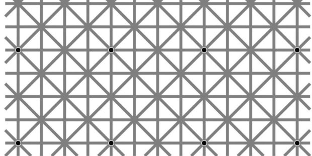 This black dot optical illusion is the latest to cause a stir. Photo / Facebook / Will Kerslake