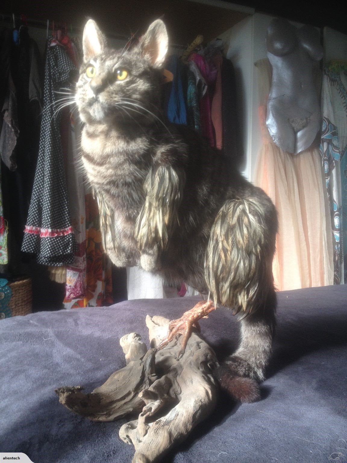 The seller has also listed other items. Photo / via Trade Me