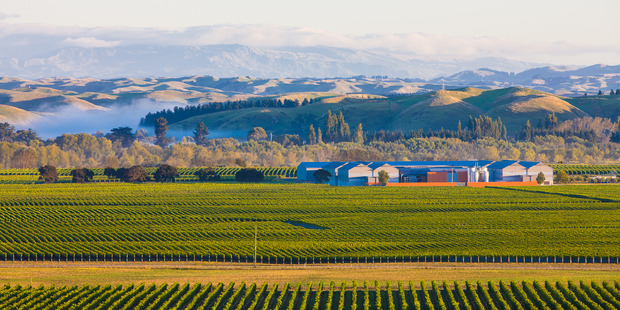 Craggy Range's Giants Winery.