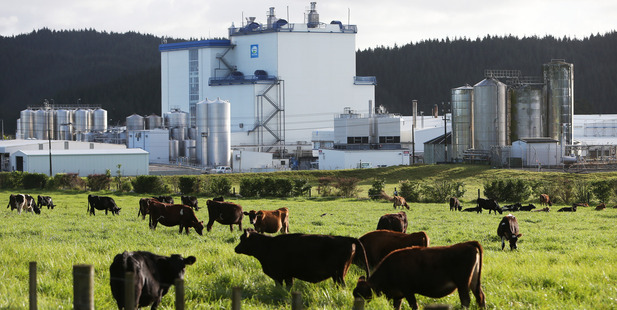 Fonterra said it had raised its 2016/17 forecast farmgate milk price by 50 cents to $5.25 per kg of milksolids.