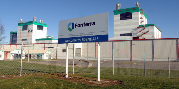 A milk silo collapsed at Fonterra's Edendale plant in Southland on Friday. Photo / File