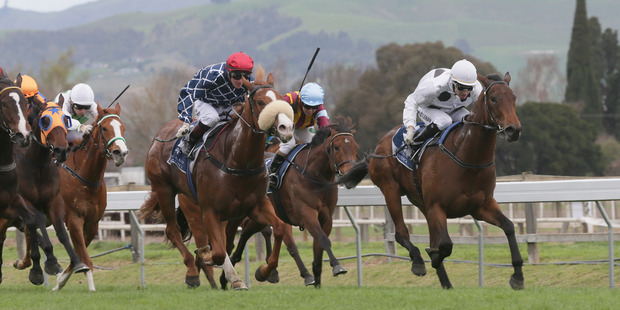 Honey Rider (white cap) wins the Gold Trail Stakes at Hastings. Photo / Trish Dunell