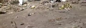 Watch NZH Local Focus: $6.5m to prepare for earthquake and tsunami
