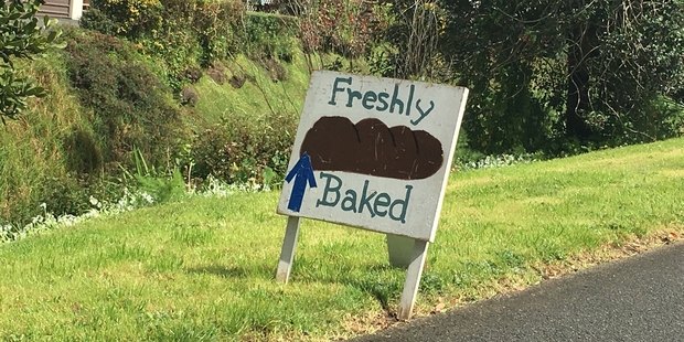 A shade too dark. Spotted in Whangarei.