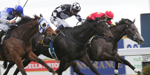 In a tough slog Kawi (centre) beats Mime (rails) and Rasa Lila to win the Windsor Park Plate. Photo / Trish Dunell
