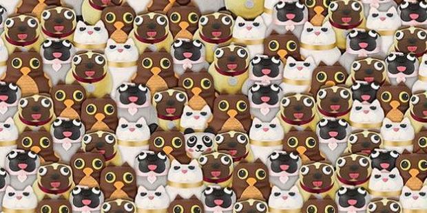 Pete the Panda is a fictional character sold as a cake at British supermarket chain Asda. Photo / PlayBuzz