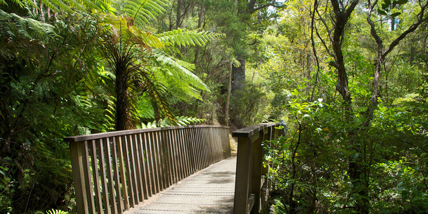 The Karamatura Loop Walk is also divine: a scenic 60-minute walk with a bit of climbing but nothing too taxing. Photo / Flickr Creative Commons
