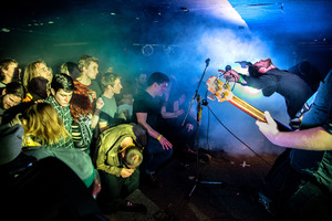 The Dunedin Sound, year-round