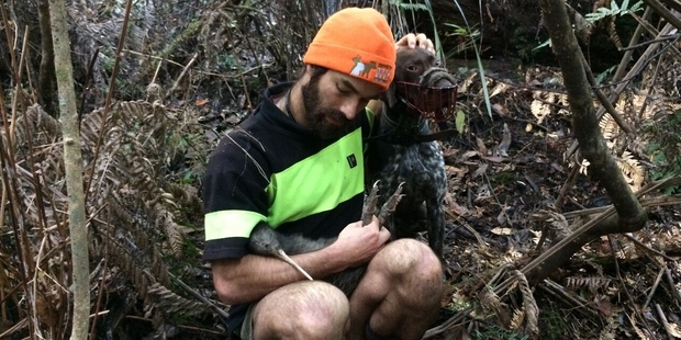 Conservation contractor and Kaitiaki Kiwi member Tom Donovan with his 3-year-old kiwi conservation dog Leroy.