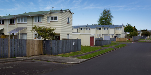 State housing tenants may be offered $3000 to relocate. Photo / Sarah Ivey