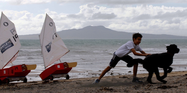 Joe Pettigrew, 11, of Mairangi Bay plays with dog Hector on Mairangi Bay beach as the nice weather starts to turn on Monday morning. Photo / Nick Reed