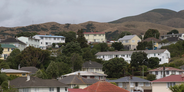 Only a handful of Porirua's 134 vacant state houses are fit for Aucklanders to live in as proposed by the Government, says the city's mayor. Photo / Mark Mitchell