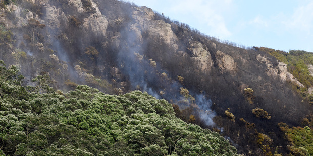 Mauao on fire. Photo/file
