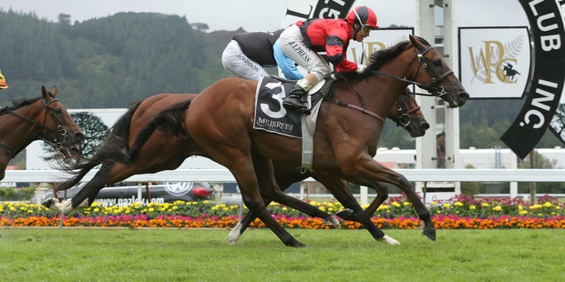Lisa Allpress gets Dukedom home in the Levin Classic. Photo / Trish Dunell