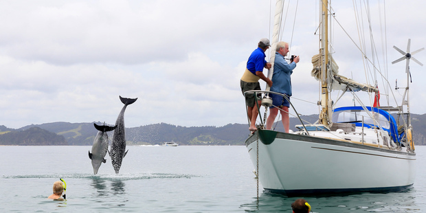 BEHIND YOU: The pod of dolphins provided 360degree entertainment. Photo / Stephen Western