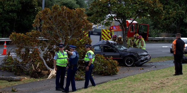 The 17-year-old had been riding in the front seat of the car that went out of control and crashed into a tree. Photo / Dean Purcell