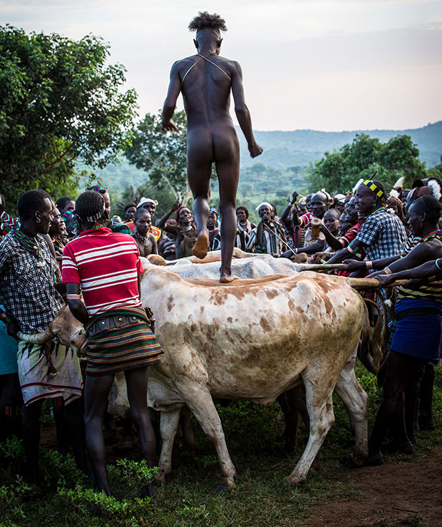 Scampering naked across their backs he made it to the far end and back six times. He was now maza (an unmarried man who had jumped bulls). Photo / Guy Needham