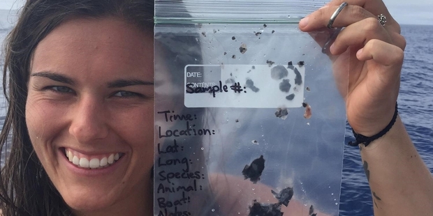 Abigail Robinson with whale skin collected for DNA analysis.