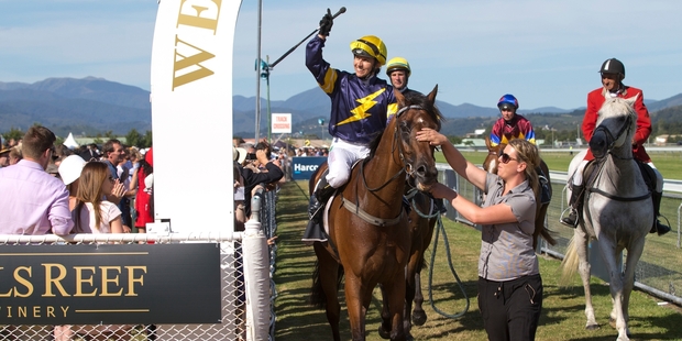 Mister Impatience ridden by Sam Spratt after winning the Wellington Cup. Photo / Mark Mitchell