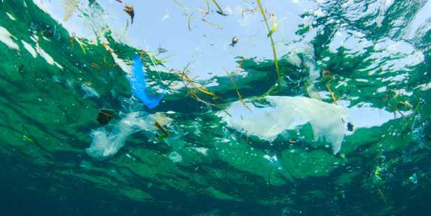 At least 8 million tonnes of plastic already ends up in the ocean every year. Photo / iStock