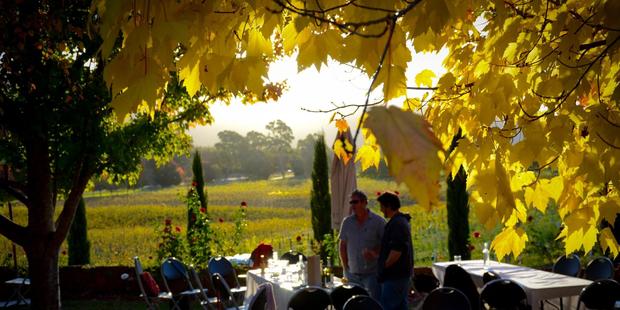 Afternoon sun at Bright's Feathertop Winery. Photo / Creative Commons image by Flickr user Ben Novakovic