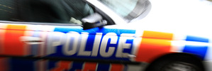 A farmer has been shot at by a group "spotlighting" on his central North Island property. Photo / File