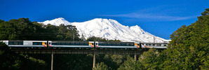 The viaducts are certainly feats of Kiwi engineering genius. Photo / Supplied