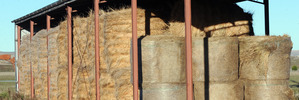 RULE REVIEW: Building a hay barn or farm shed in CHB may no longer require a building consent, as long as the structures are no bigger than 150 square metres and meet other criteria. PHOTO/FILE