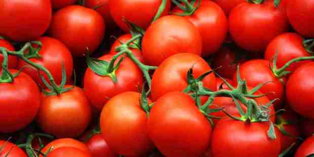 Studies show their is a relation between tomatoes and them controlling the rapid growth of the prostate during a man's later years. Photo / Supplied
