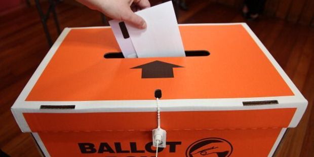 Local election full results. Photo / Getty Images
