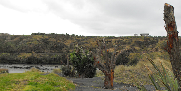 Patea Beach dunes.