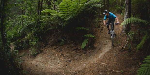 Waitangi Mountain Bike Park will open on Sunday with more than 20km of forest trails, due to expand to 75km within two years. PHOTO / SUPPLIED