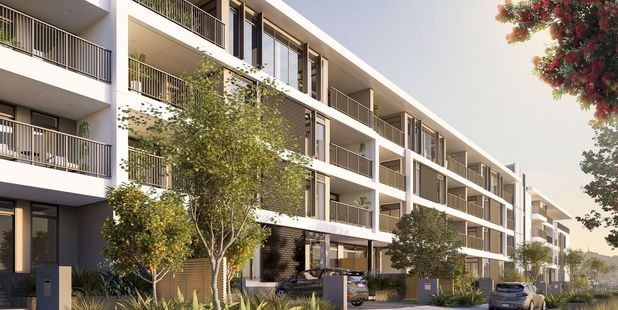 How Market Cove at Mangere could look.