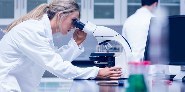 Women remain under-represented in many areas of science, including high positions and award recipients. Photo / File