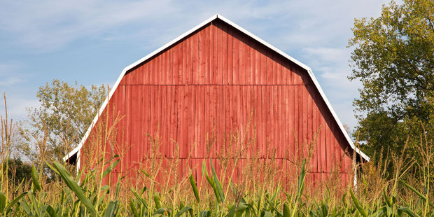 The rule relates to rates and repair costs on farm houses and buildings. Photo / 123rf