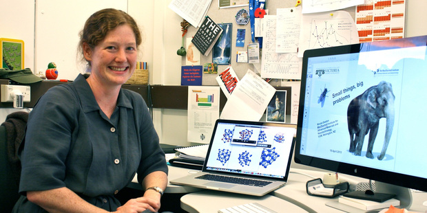 Dr Nicola Gaston, a former president of the New Zealand Association of Scientists, said more diversity among the Royal Society of New Zealand's newest fellows was a "first step". Photo / File