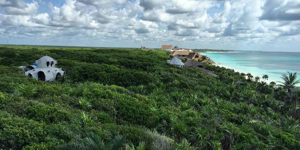 The hotel's treehouse is opening for the holiday season and will be the first of several. Photo / Papaya Playa Project, Instagram