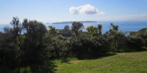 The Defence land overlooks the Tiritiri Matangi Wildlife Sanctuary -- many birds from the island visit. Photo /Paul Charman