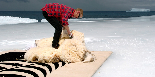 Jimmy Bennett shears Shrek the sheep on the iceberg. Photo / Stephen Jaquiery