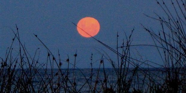A supermoon photographed in Whangamata in 2012. Photo / File