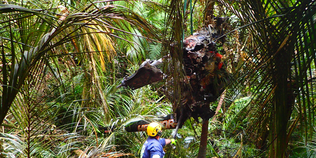 The wreckage is lifted from the bush. Photo / Supplied