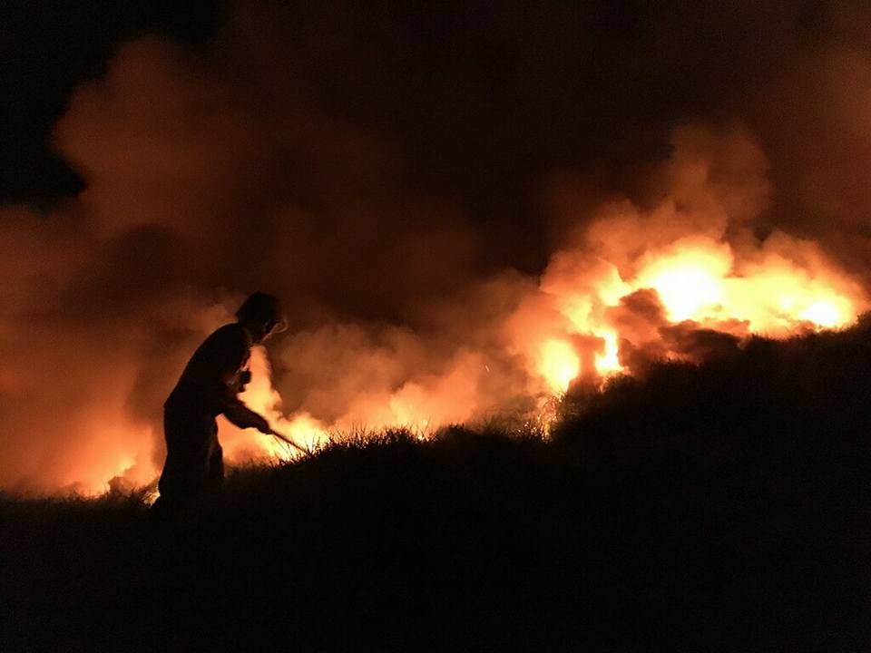 Seven crews were transported to the island. Photo / Waitakere Volunteer Fire Brigade