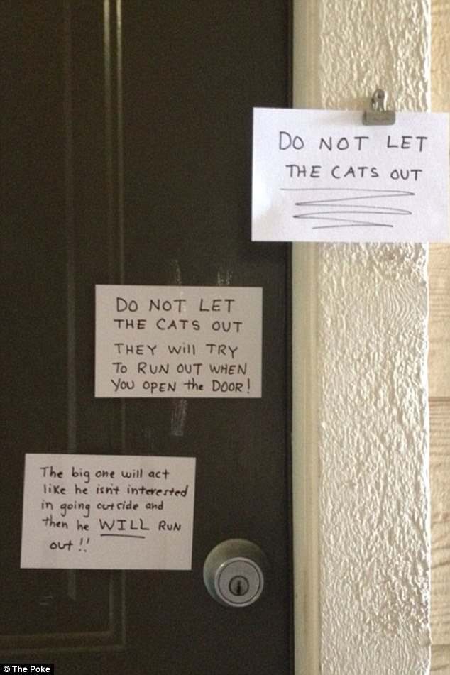 Am I making myself clear? This cat owner needed three separate notes to make his point.