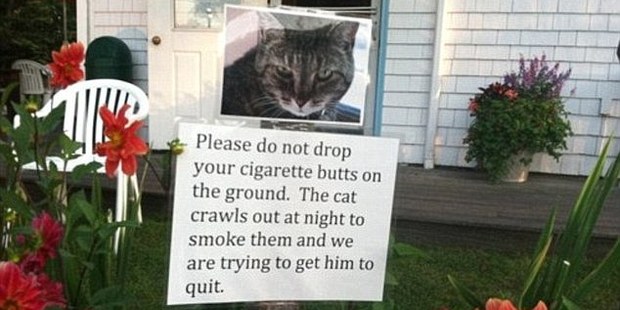 Authors of hilarious passive aggressive notes are using notices to publicly shame repeat offenders.